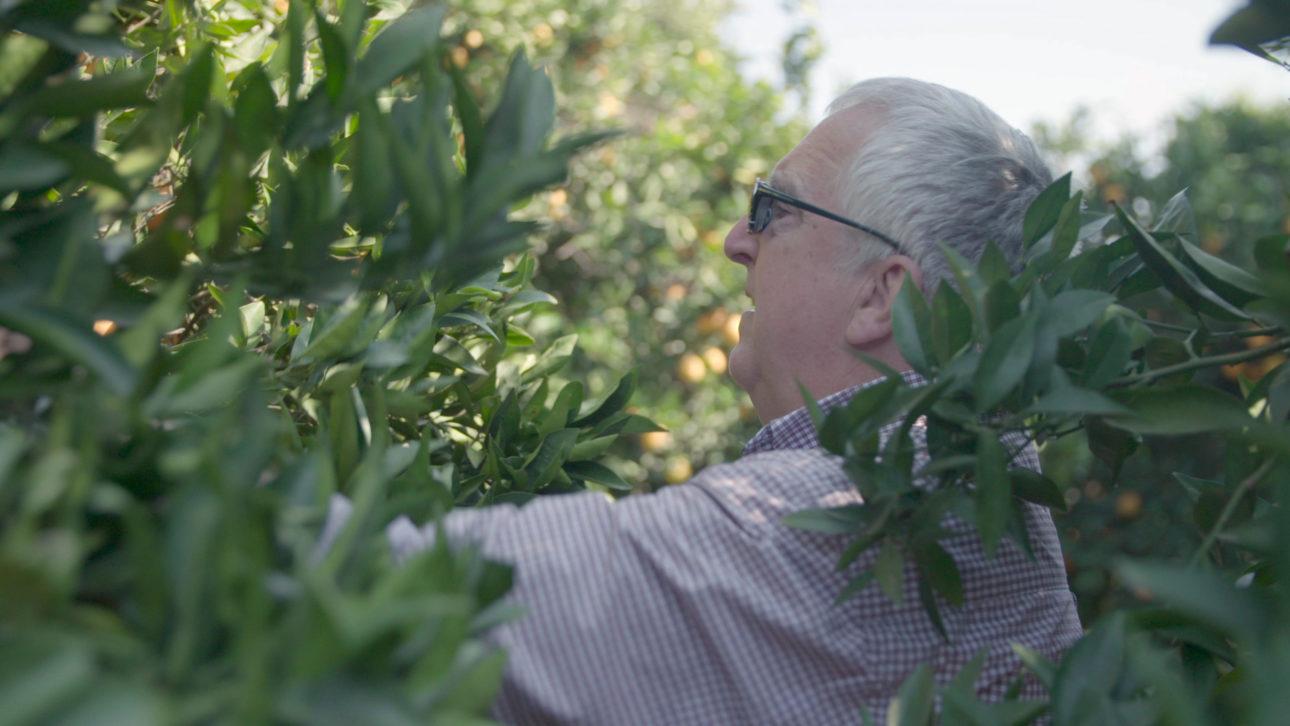 Imperfect Produce Still