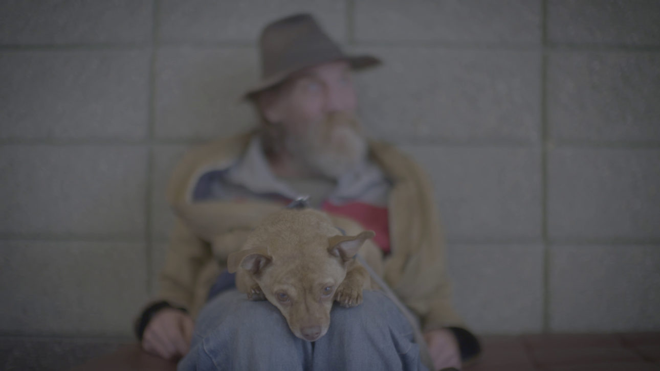 Pets of the Homeless Still