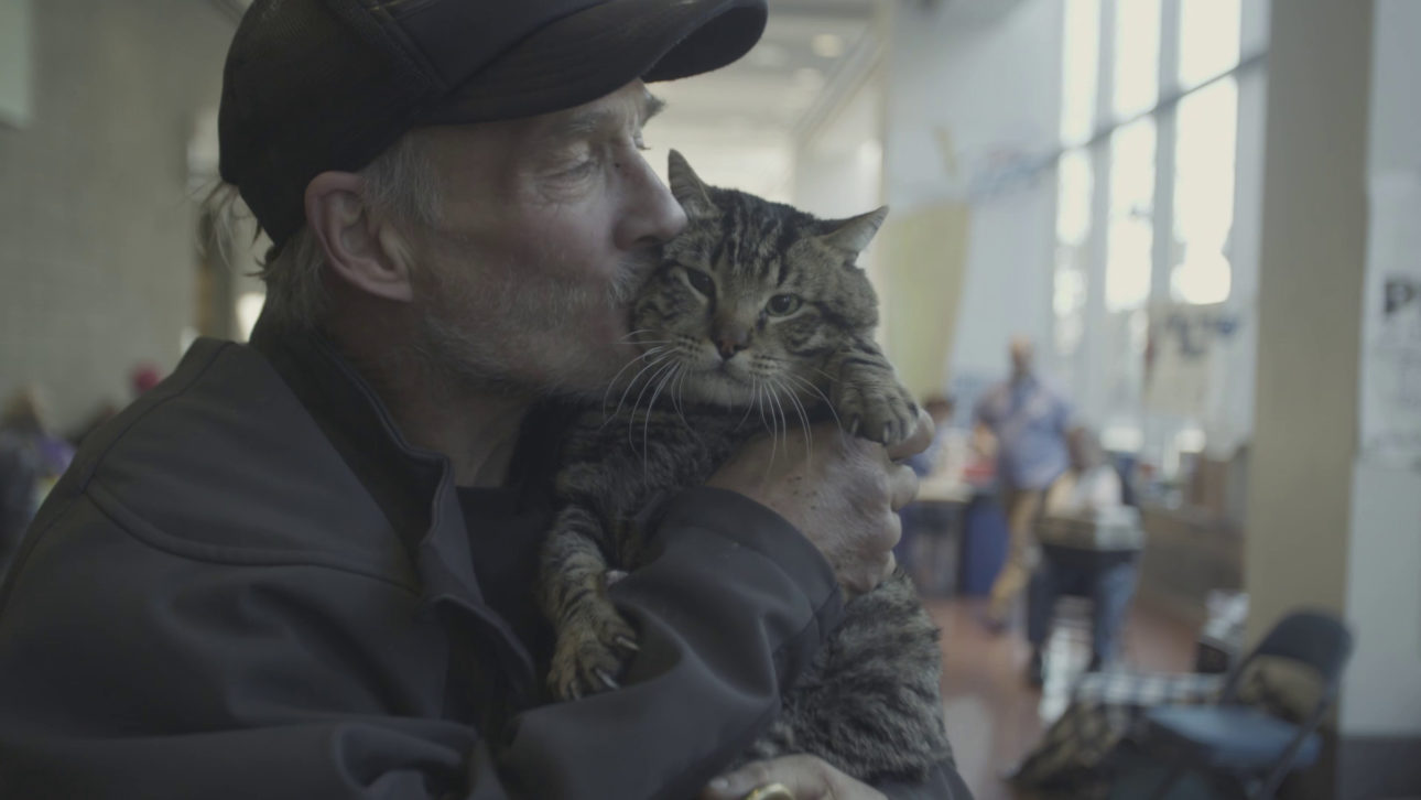Pets of the Homeless Still
