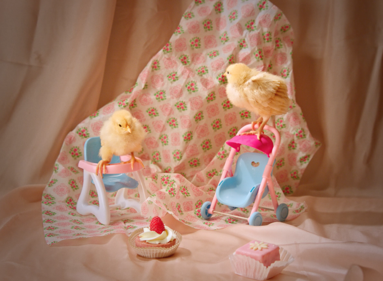 EGG PARTY_NORA&FLEMINGTON