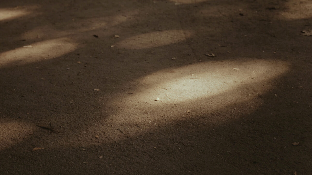 BERGEN – The Beauty of Simplicity